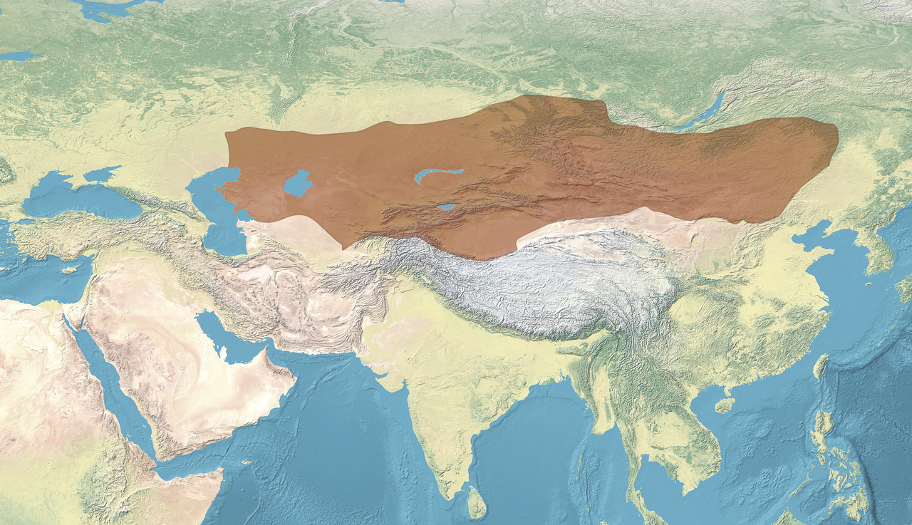 First Turkic Khaganate