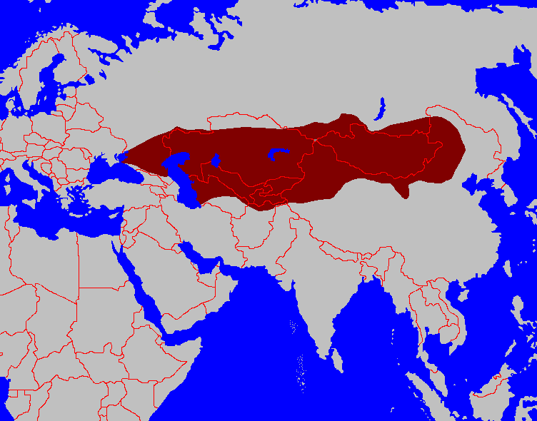 First Turkic Khaganate
