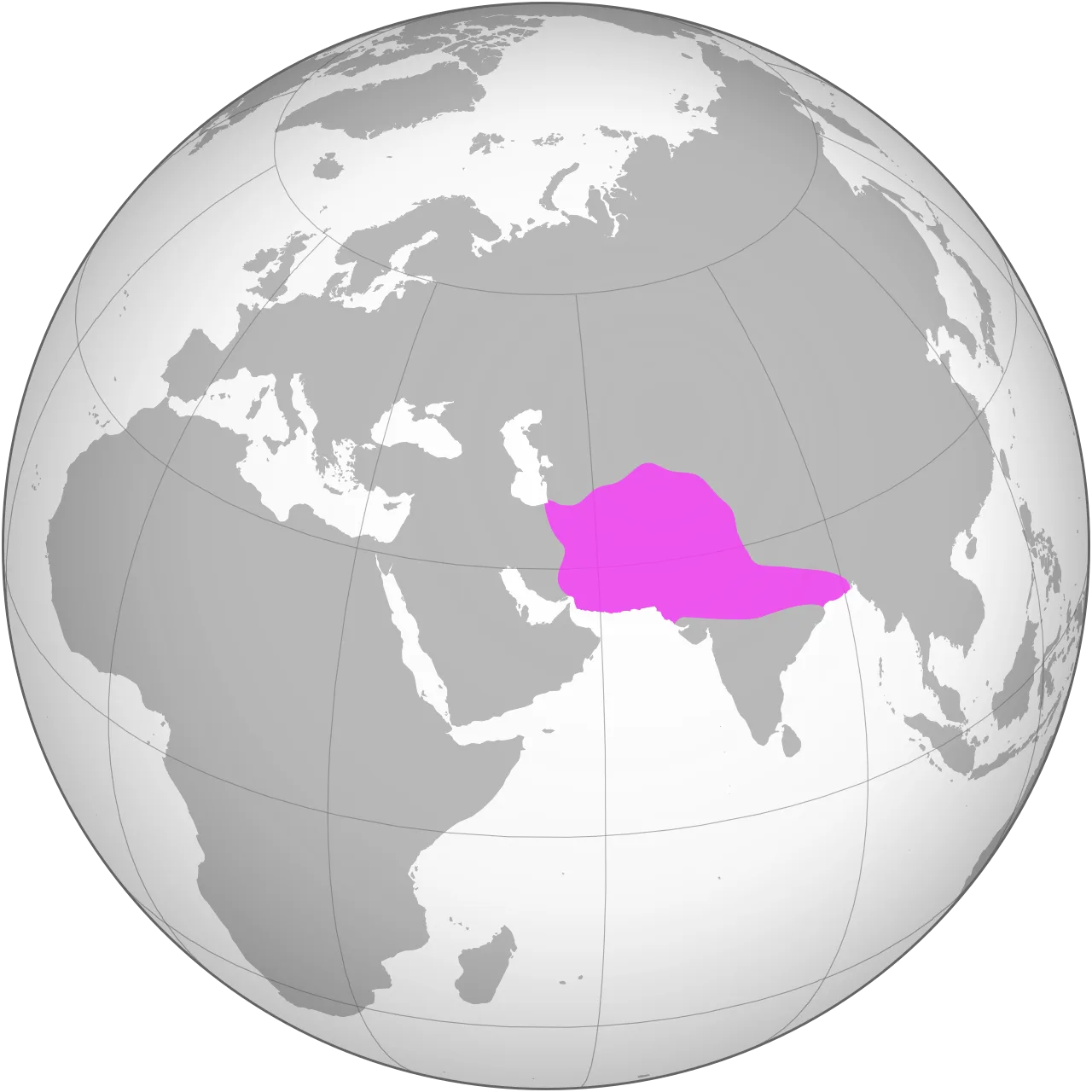 Ghurid dynasty